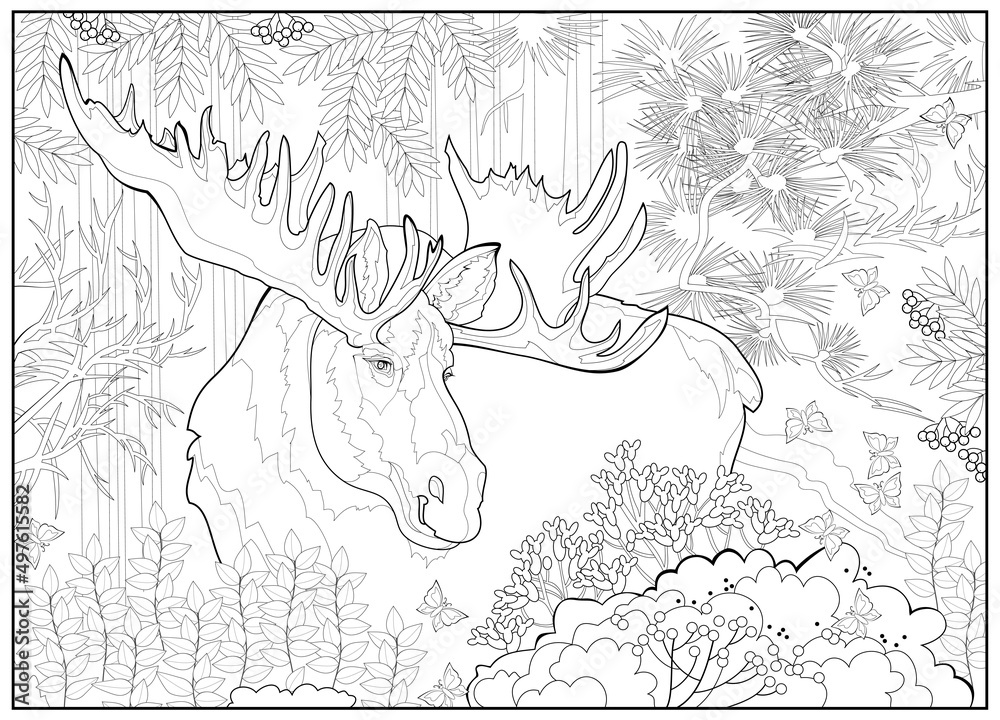 Moose with antlers in summer forest coloring book for children and adults image in zen