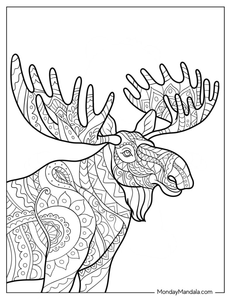 Moose coloring pages free pdf printables