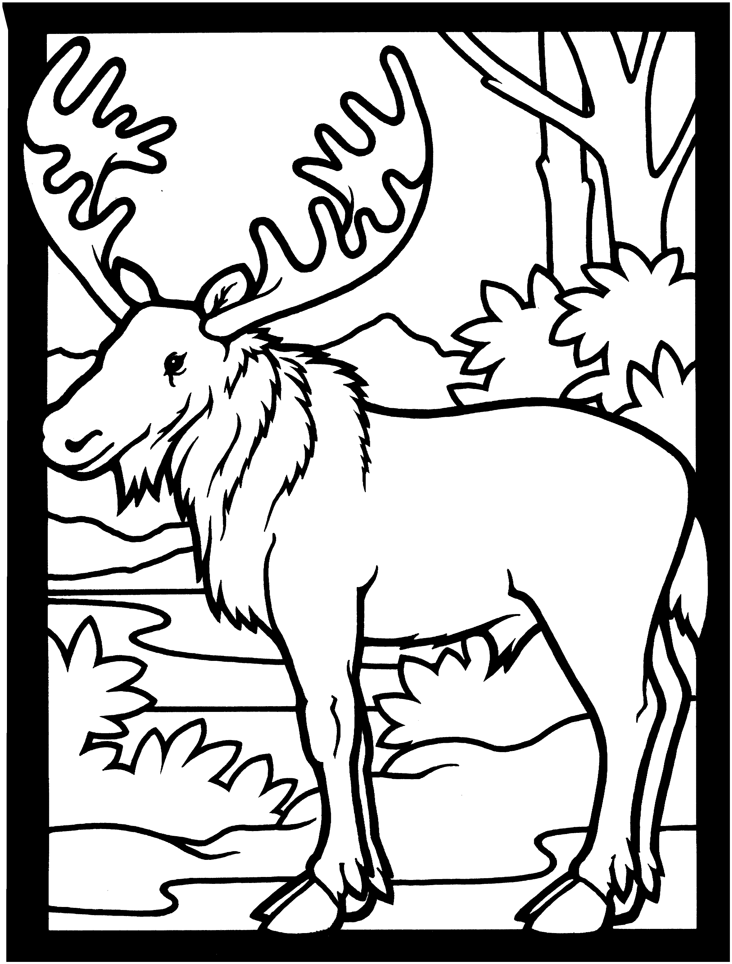 Free moose coloring pages