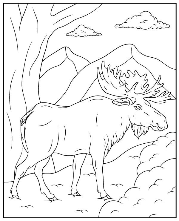 Moose coloring page sheet animal