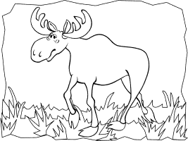 Moose coloring pages and printable activities