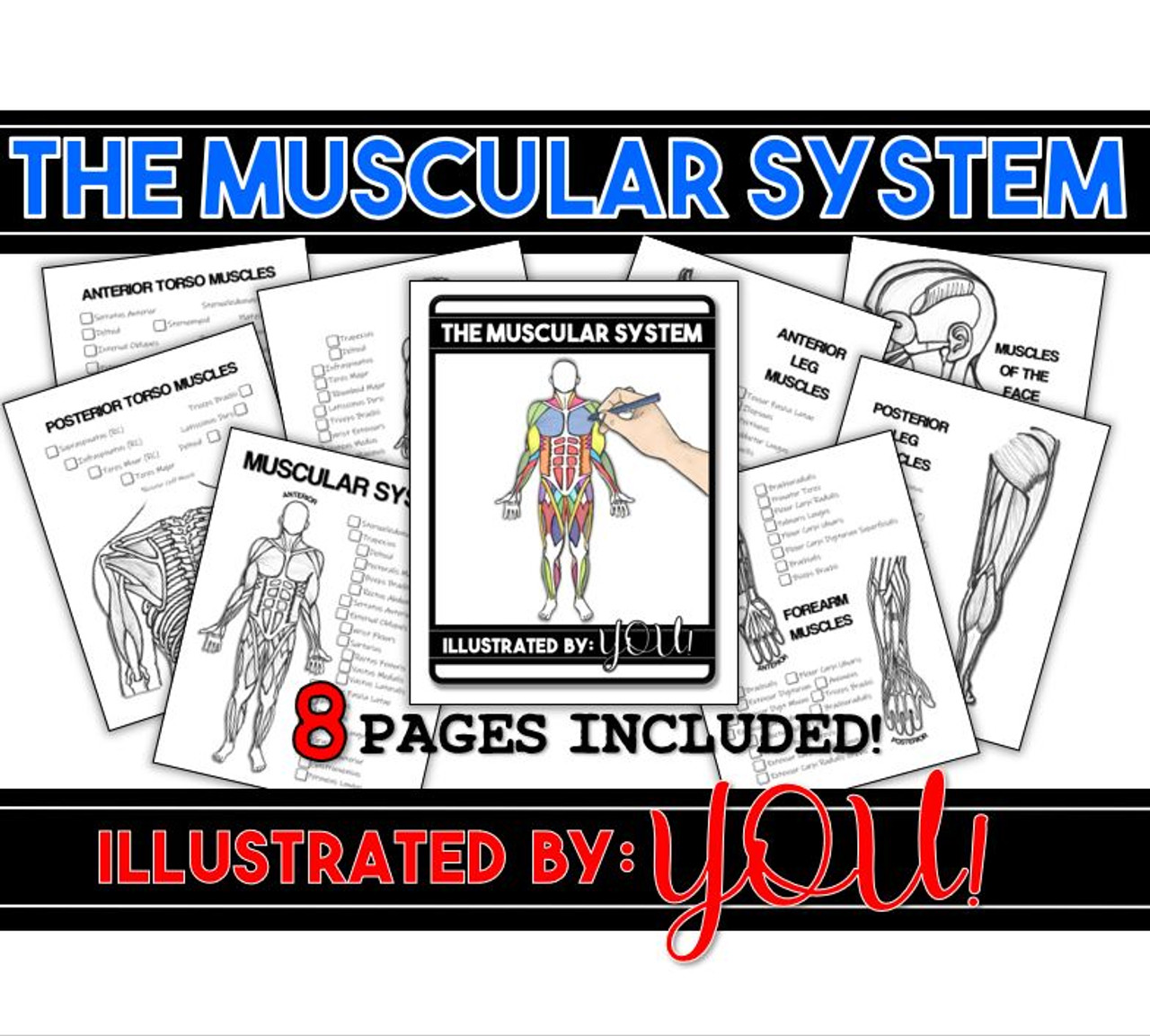 Muscular system coloring book