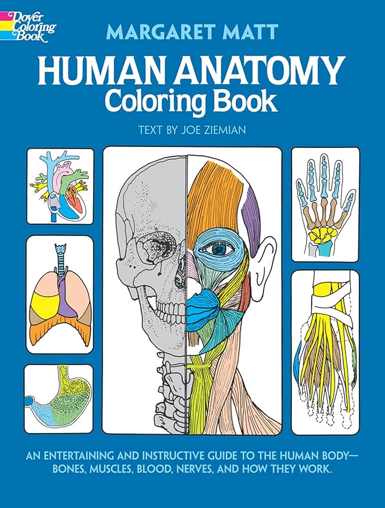 Human anatomy coloring book an entertaining and instructive guide to the human body