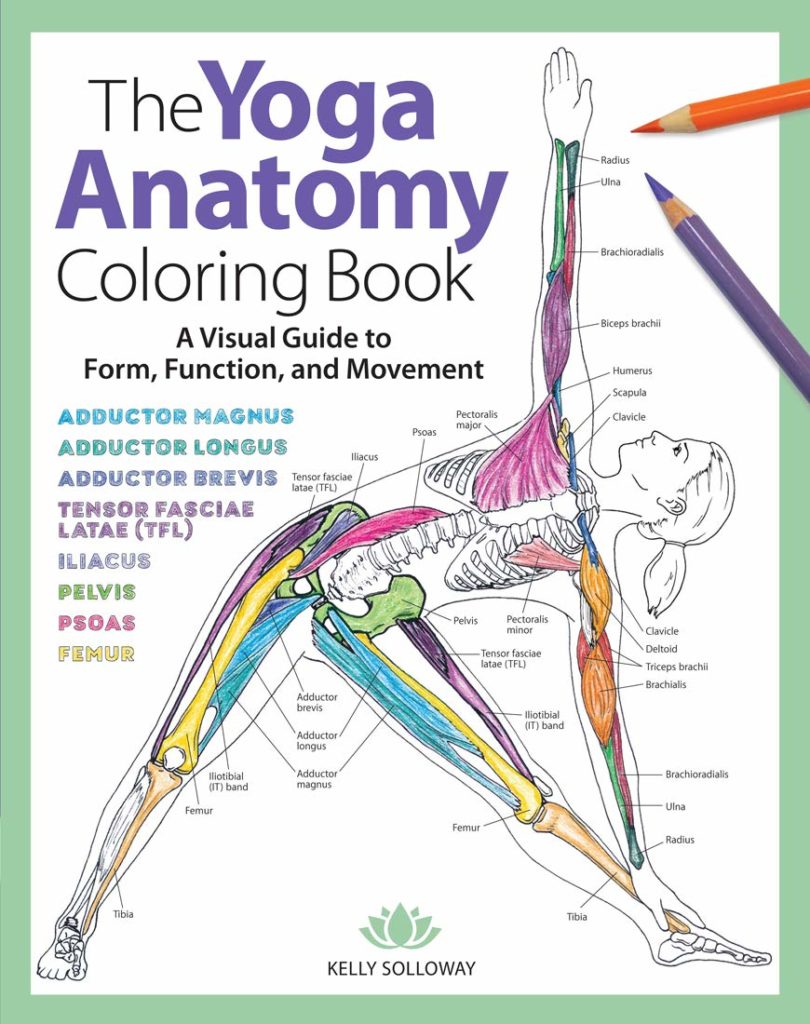 Anatomy coloring books for med students massage therapists yogis