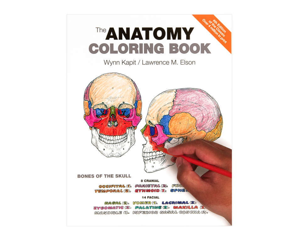 Anatomy coloring book th edition