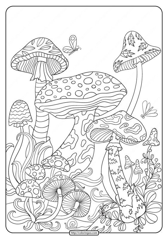 Printable mushrooms coloring pages cool coloring pages coloring book art detailed coloring pages