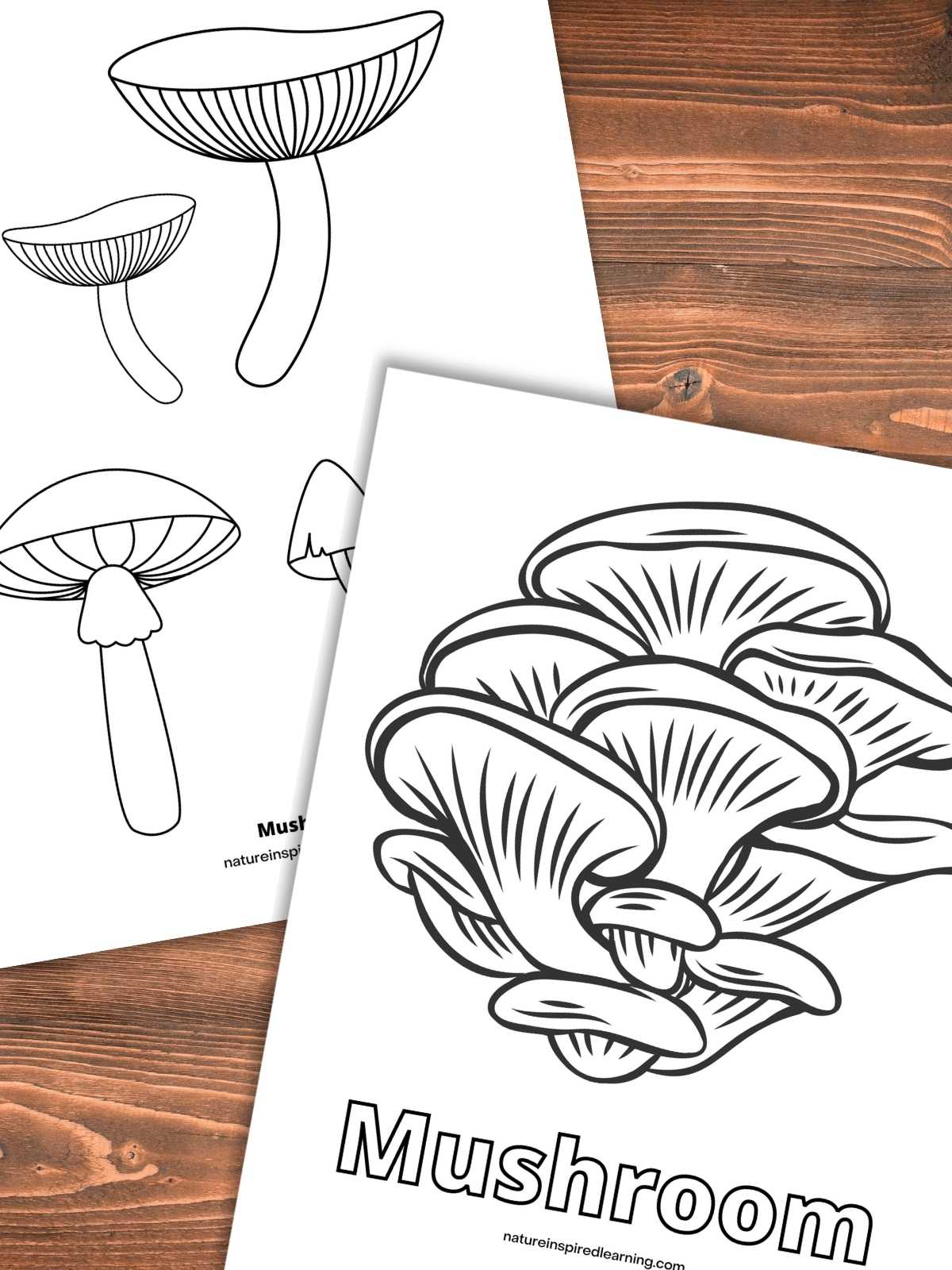 Realistic mushroom coloring pages