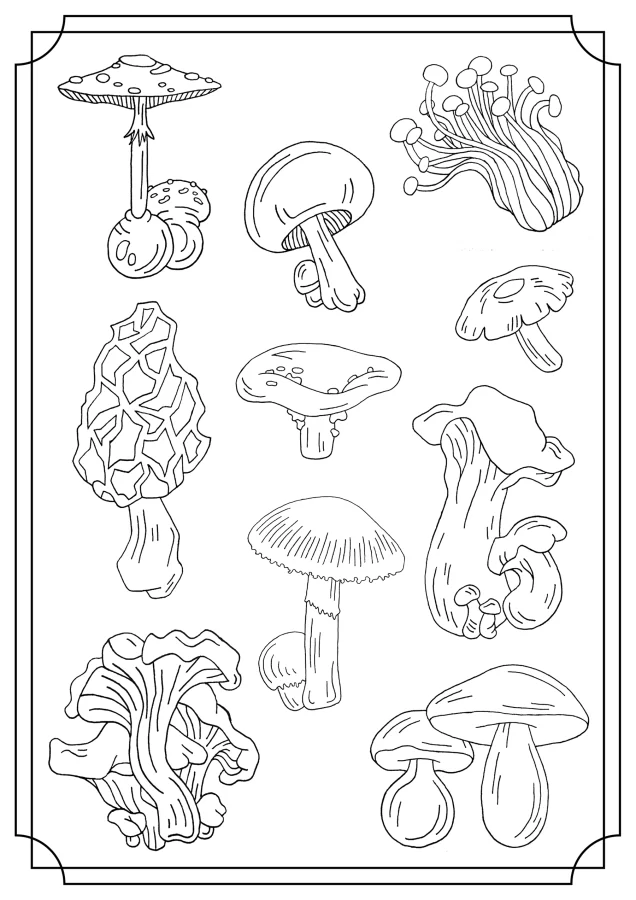 Free coloring pages of mushrooms kids adults