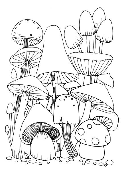 Mushroom doodles vector for coloring book isolated illustration on white background stock illustration