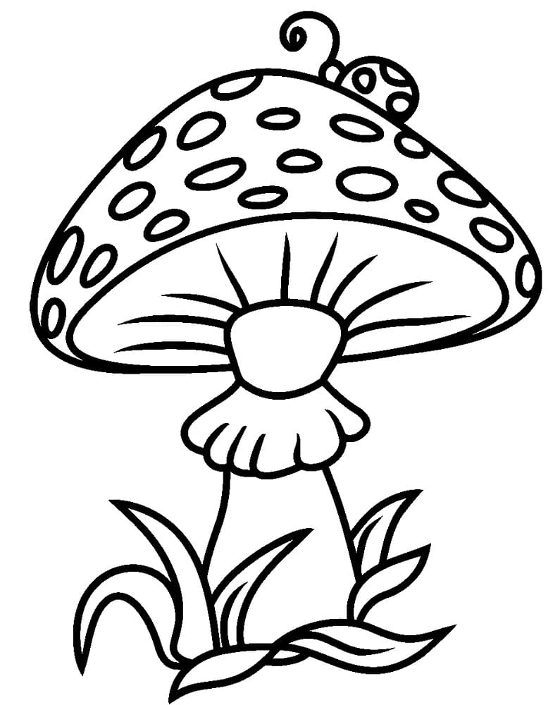 A bug on a mushroom coloring page