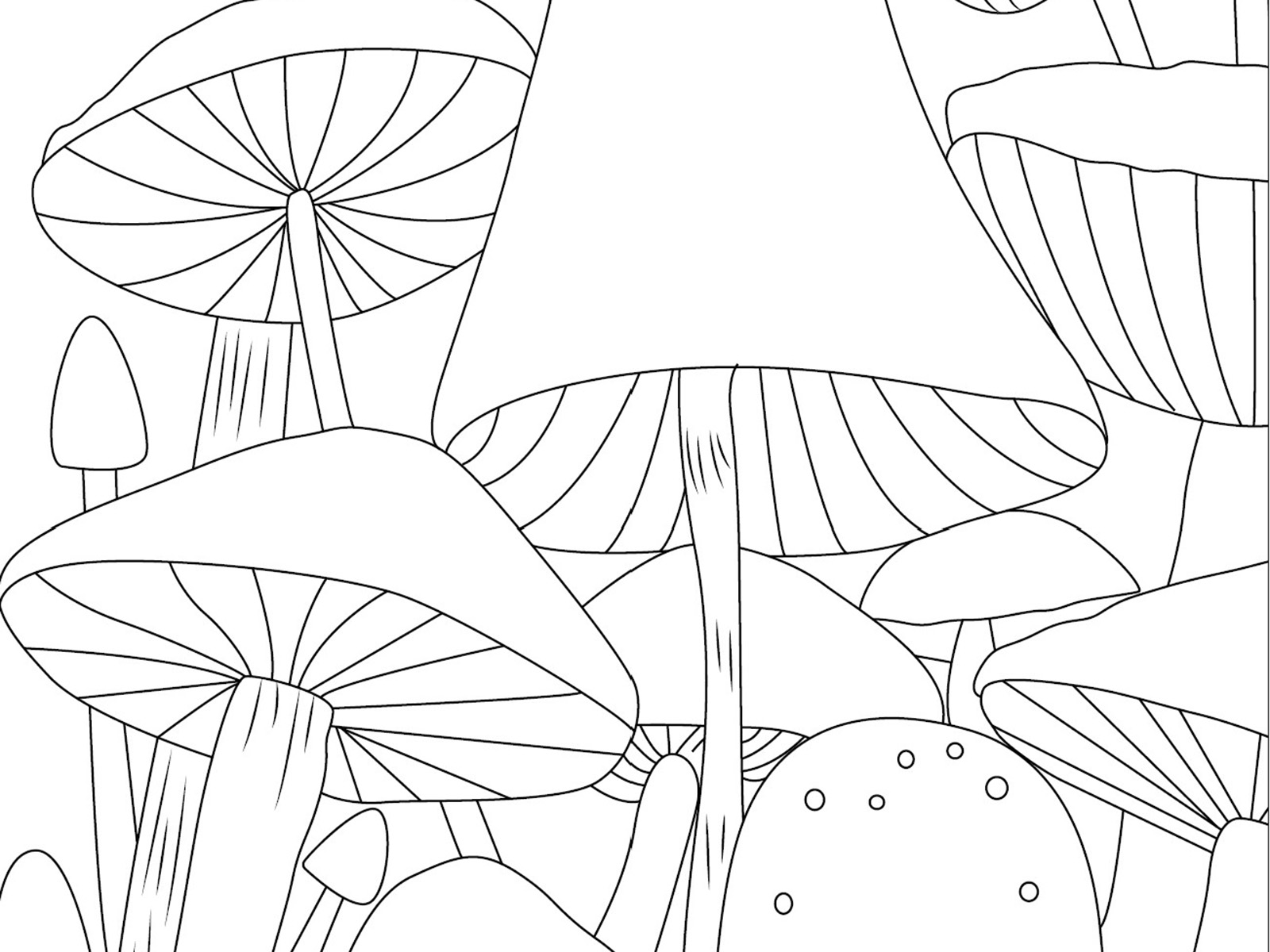 Printable coloring pages mushrooms and cup