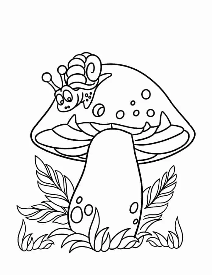 Free coloring pages of mushrooms kids adults