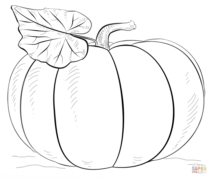 Pumpkin coloring page free printable coloring pages