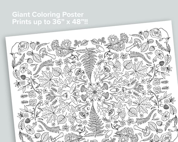 Giant nature coloring poster homeschool printables black and white large coloring pages fern mushroom flower bees moth botany