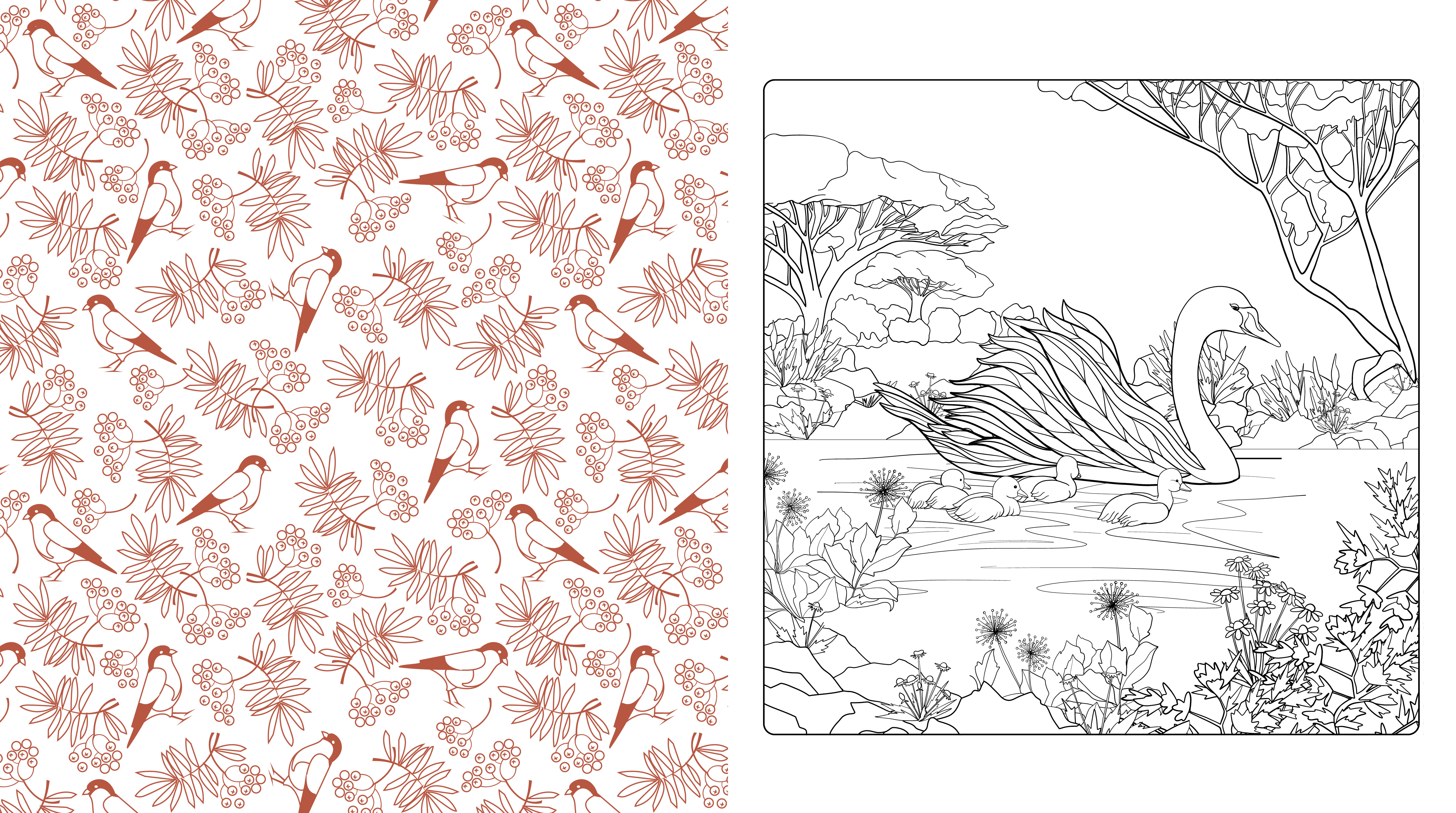 Beautiful nature coloring book by editors of chartwell books at a glance the group