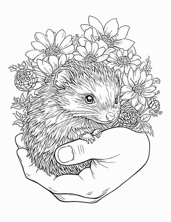 Breathtaking nature coloring pages