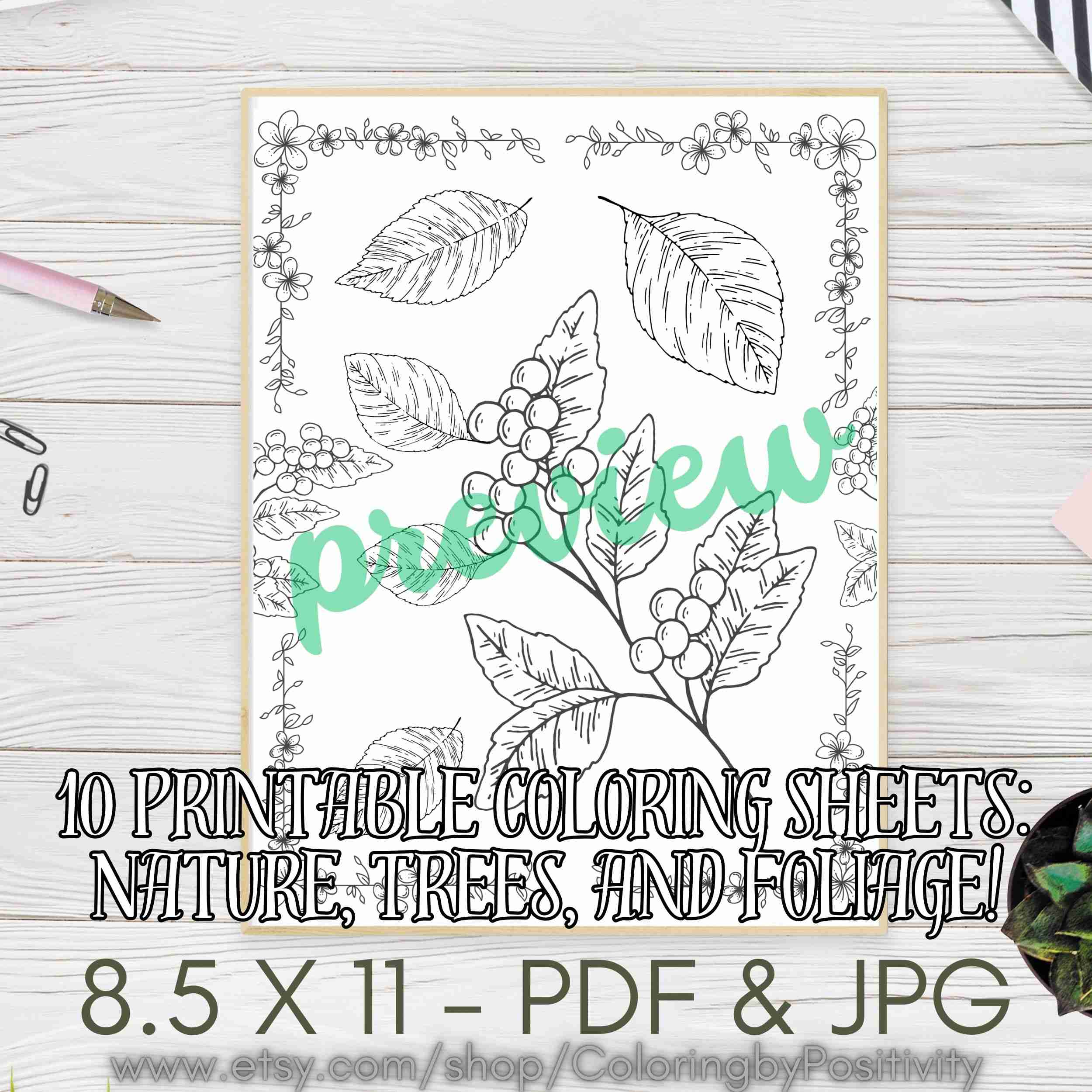 Nature coloring page bundle of â positivity blossoms