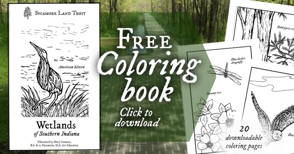 Free sycamore land trust nature coloring books sycamore land trust