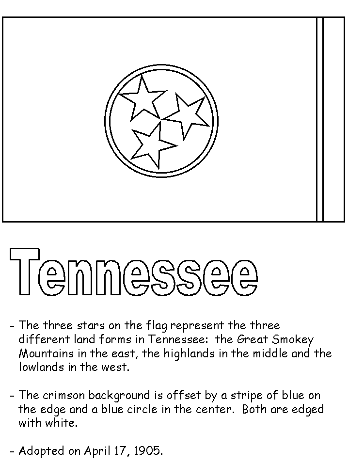 Tennessee state flag