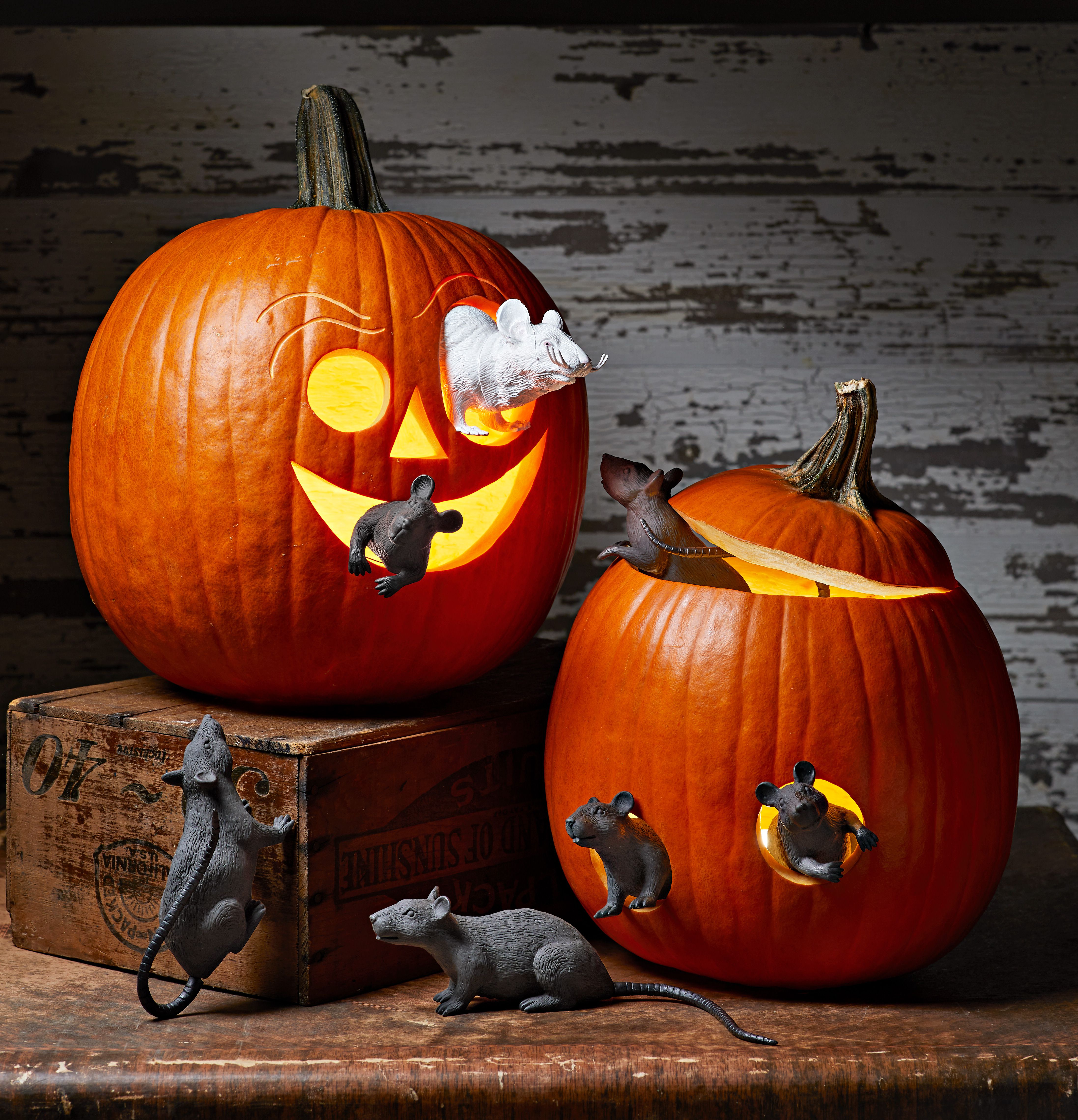 Free pumpkin carving stencils to personalize your porch decor