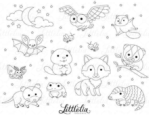 Nocturnal animal night animal clipart including black and white clipart line art