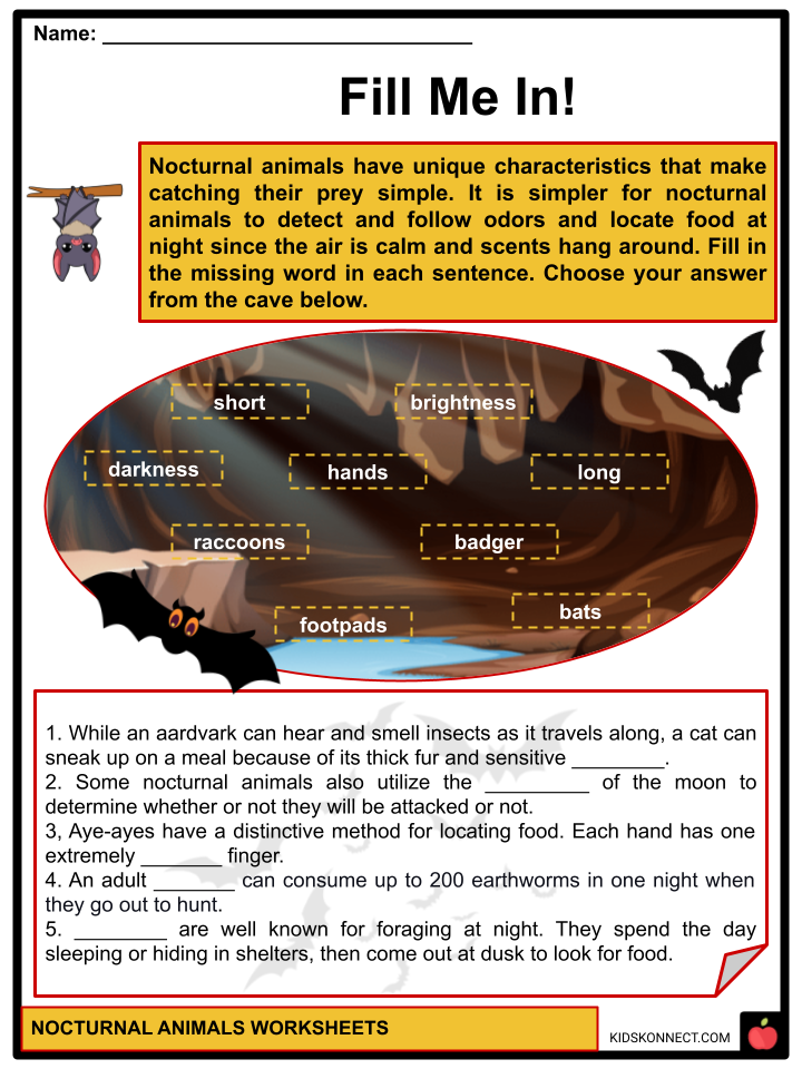 Nocturnal animals worksheets examples adaptations habits