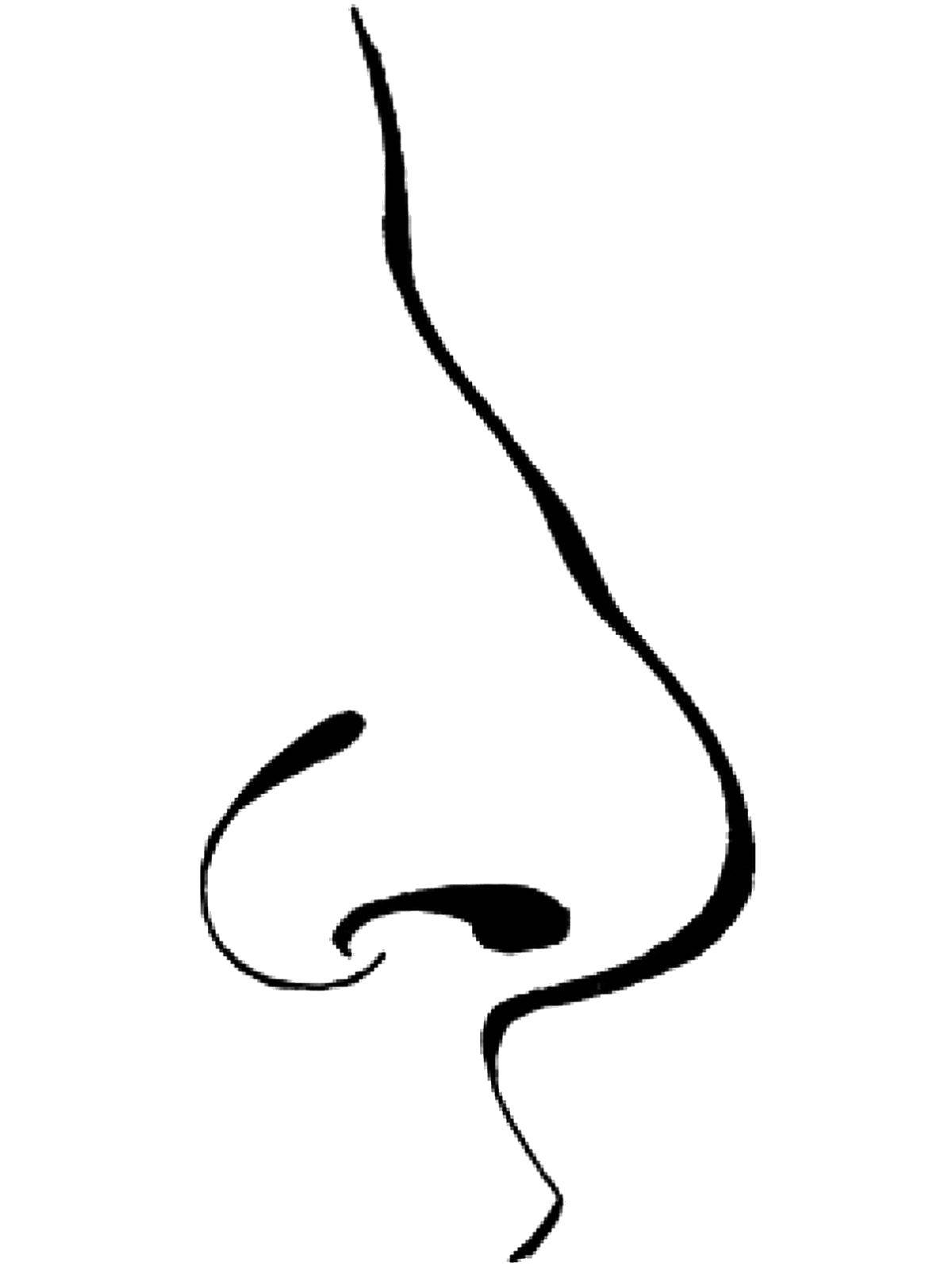 Online coloring pages body coloring nose the stcture of the body