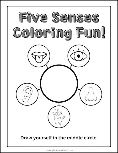 Best senses coloring pages free easy print