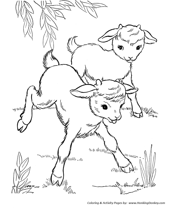 Farm animal coloring pages printable baby goats coloring page and kids activity sheet