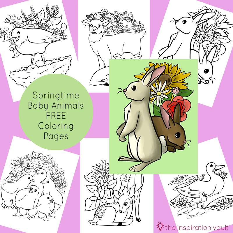 Springtime baby animals coloring pages