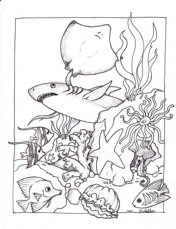 Free printable ocean coloring pages for kids ocean coloring pages animal coloring pages fish coloring page