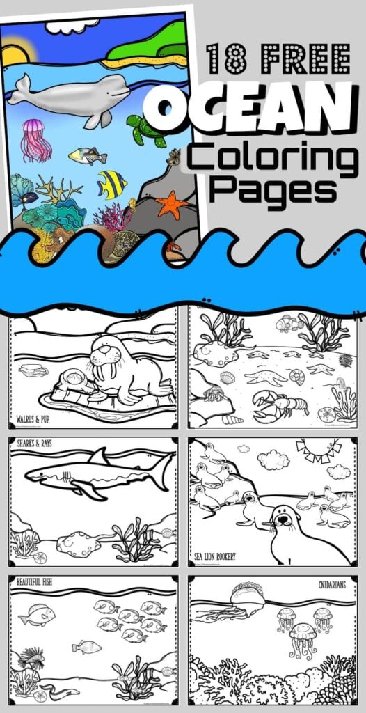 Ð free printable ocean coloring pages