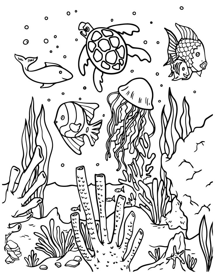 Printable sea animals coloring pages jpgpdf pg