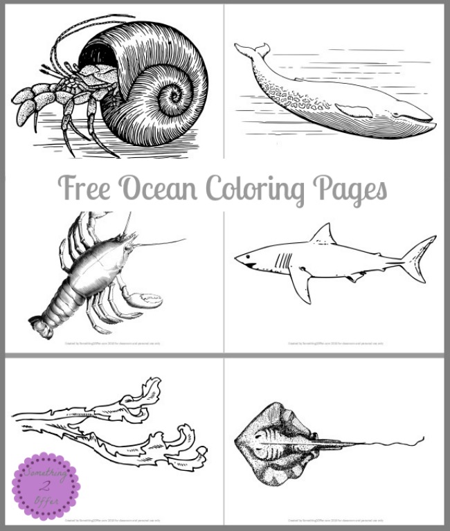 Free ocean coloring pages