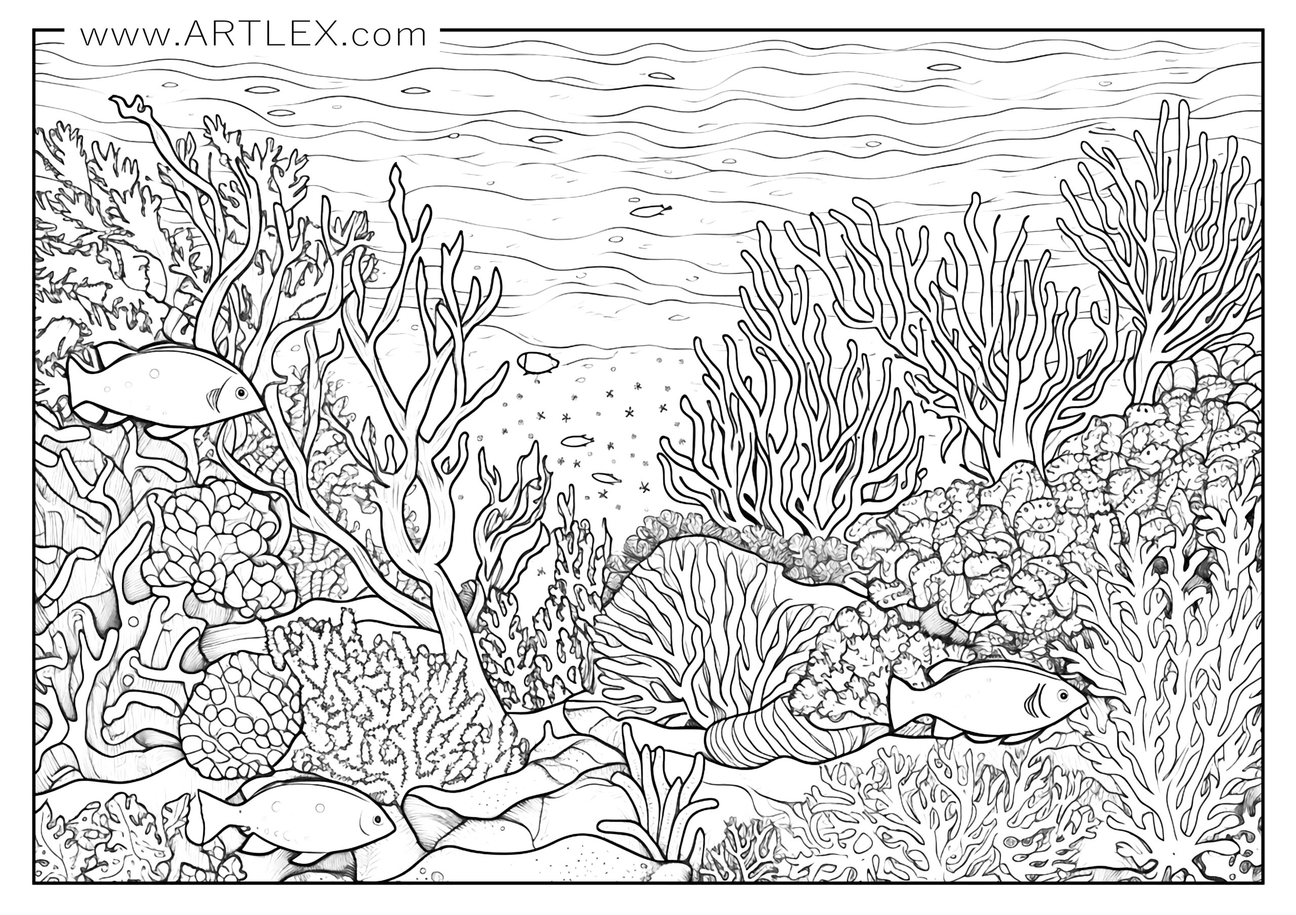 Ocean coloring pages free printable â