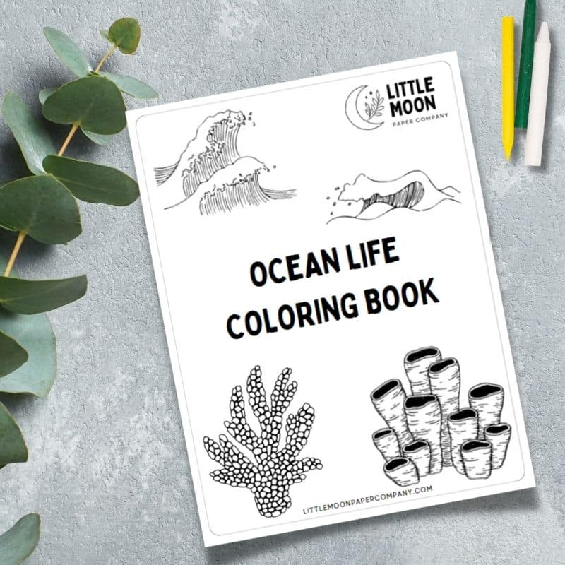 Free printable ocean coloring pages