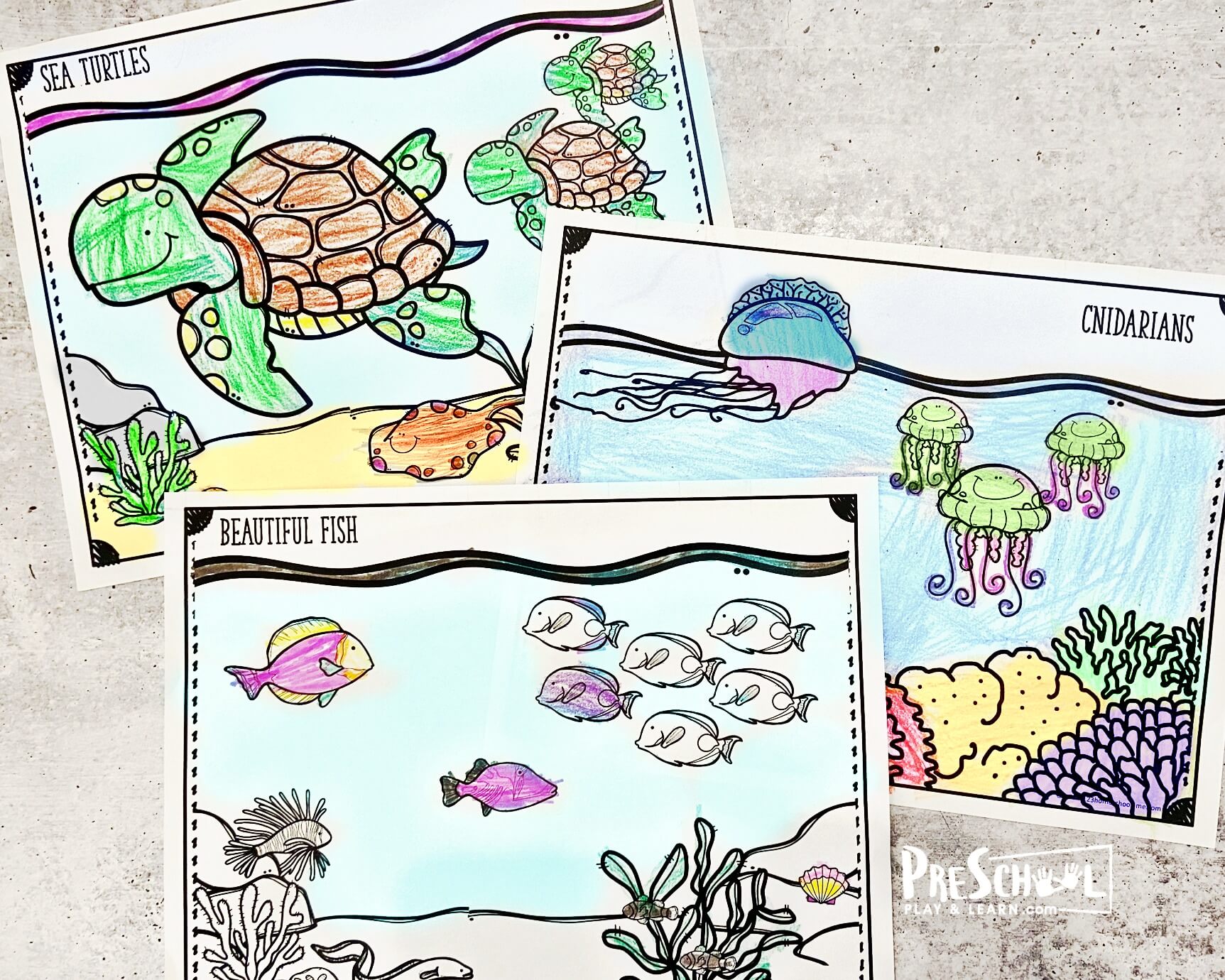 Ð free printable ocean coloring pages