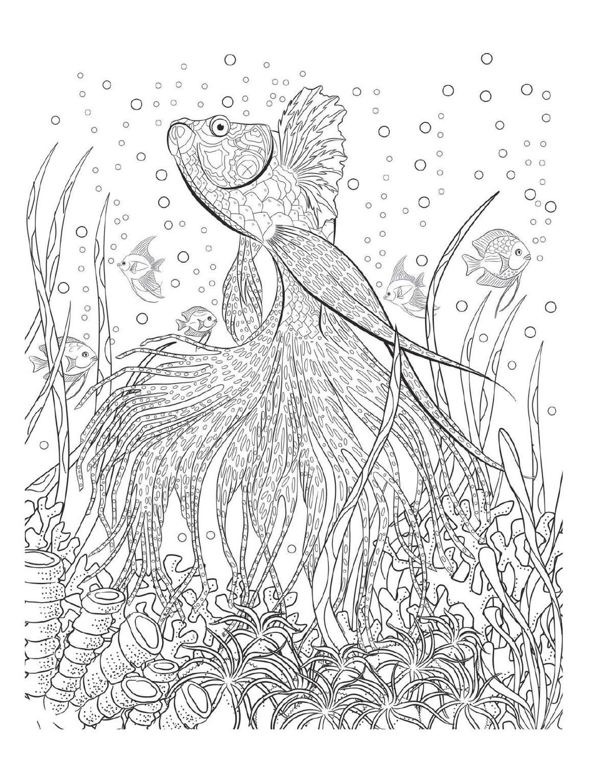 Free printable adult coloring pages ocean