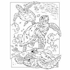 Best free printable ocean coloring pages online