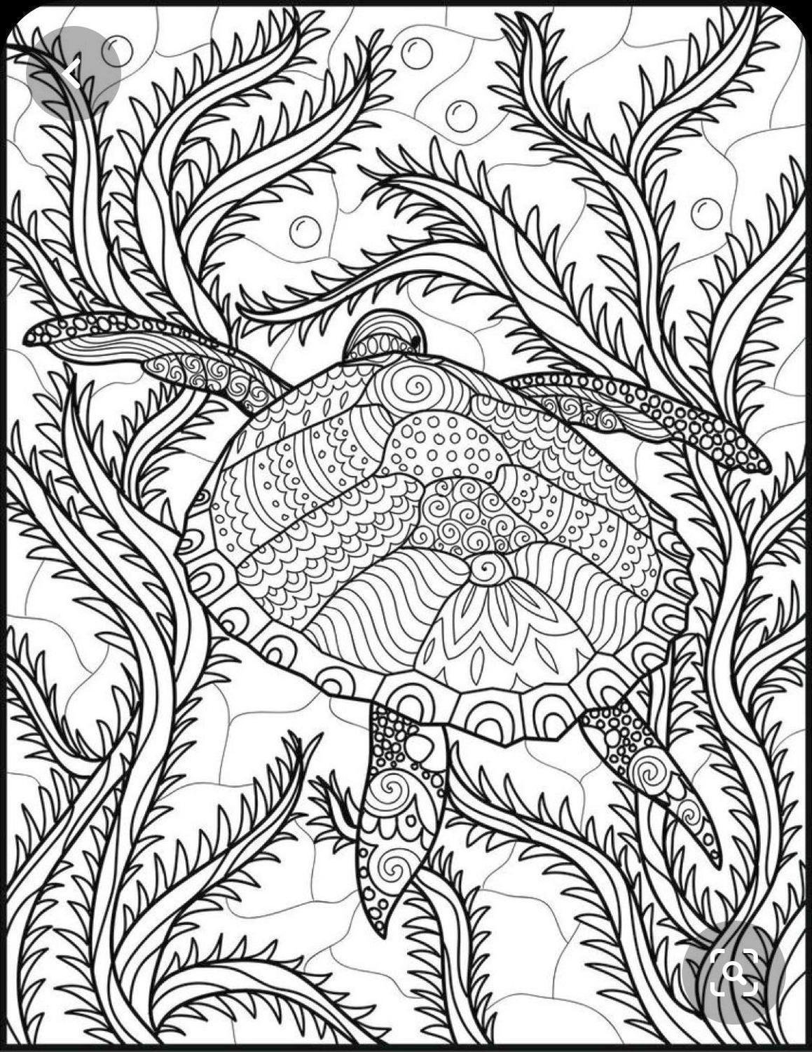 Get this ocean coloring pages for adults free printable sea turtle exploring the sea floor