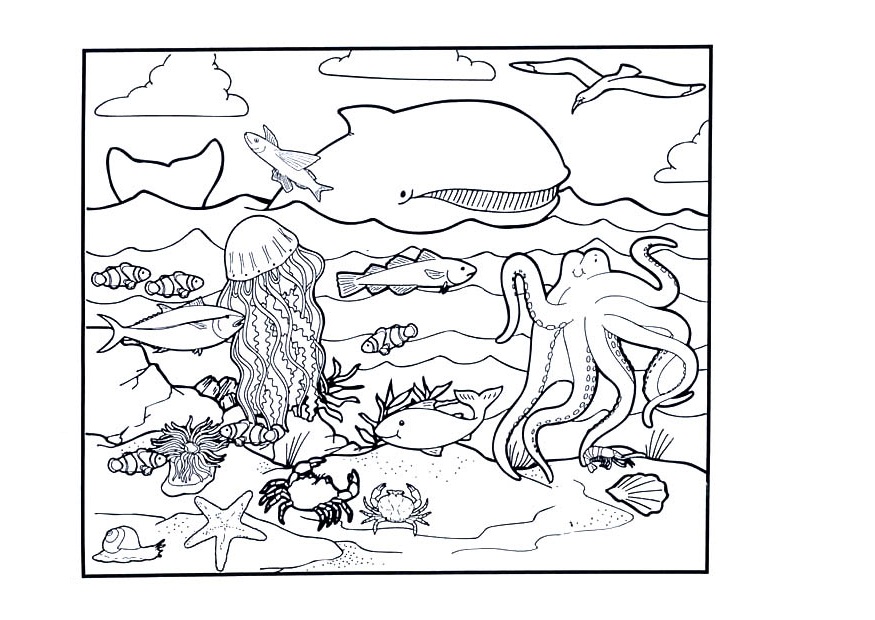 Free printable ocean coloring pages for kids