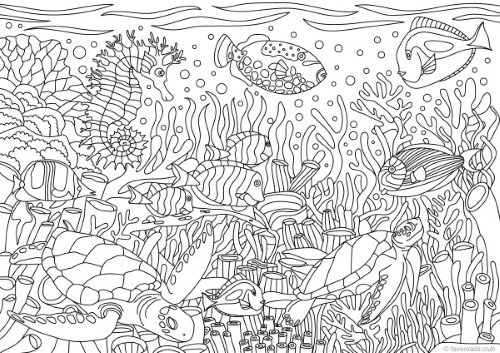 Ocean life â ocean life â favoreads coloring club