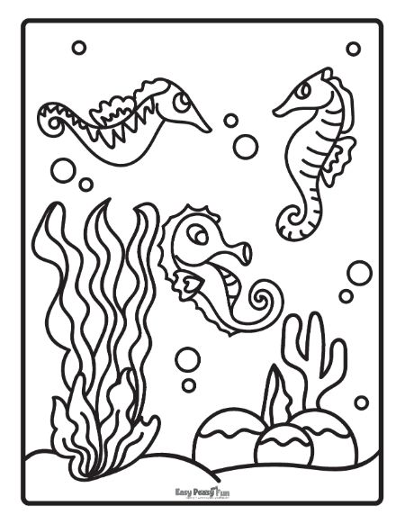 Printable seahorse coloring pages â sheets