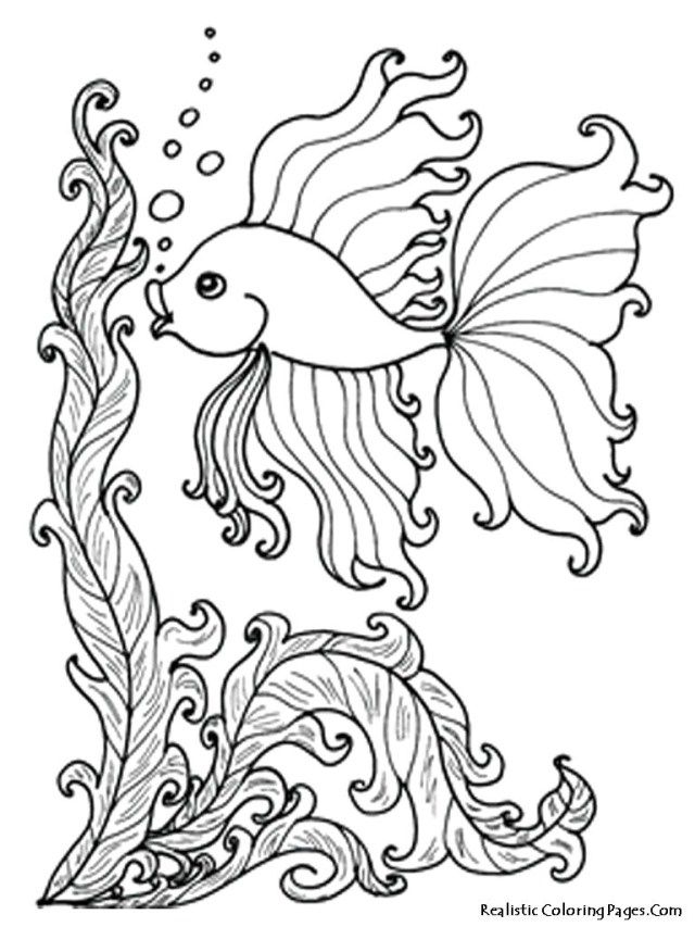 Underwater coloring pages realistic underwater coloring pages page lovely ocean animals of