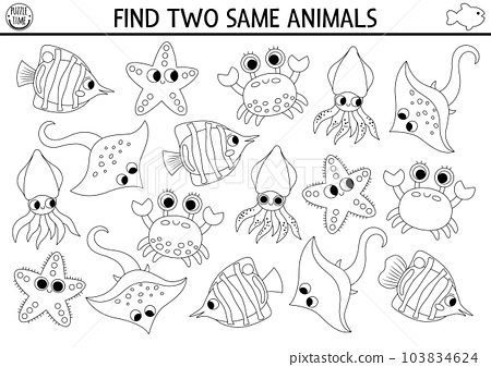 Find two same water animals under the sea