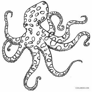 Octopus coloring page printable octopus coloring page octopus drawing coloring pages