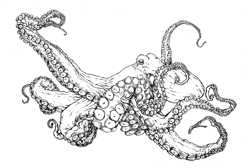 Mon octopus coloring page to print