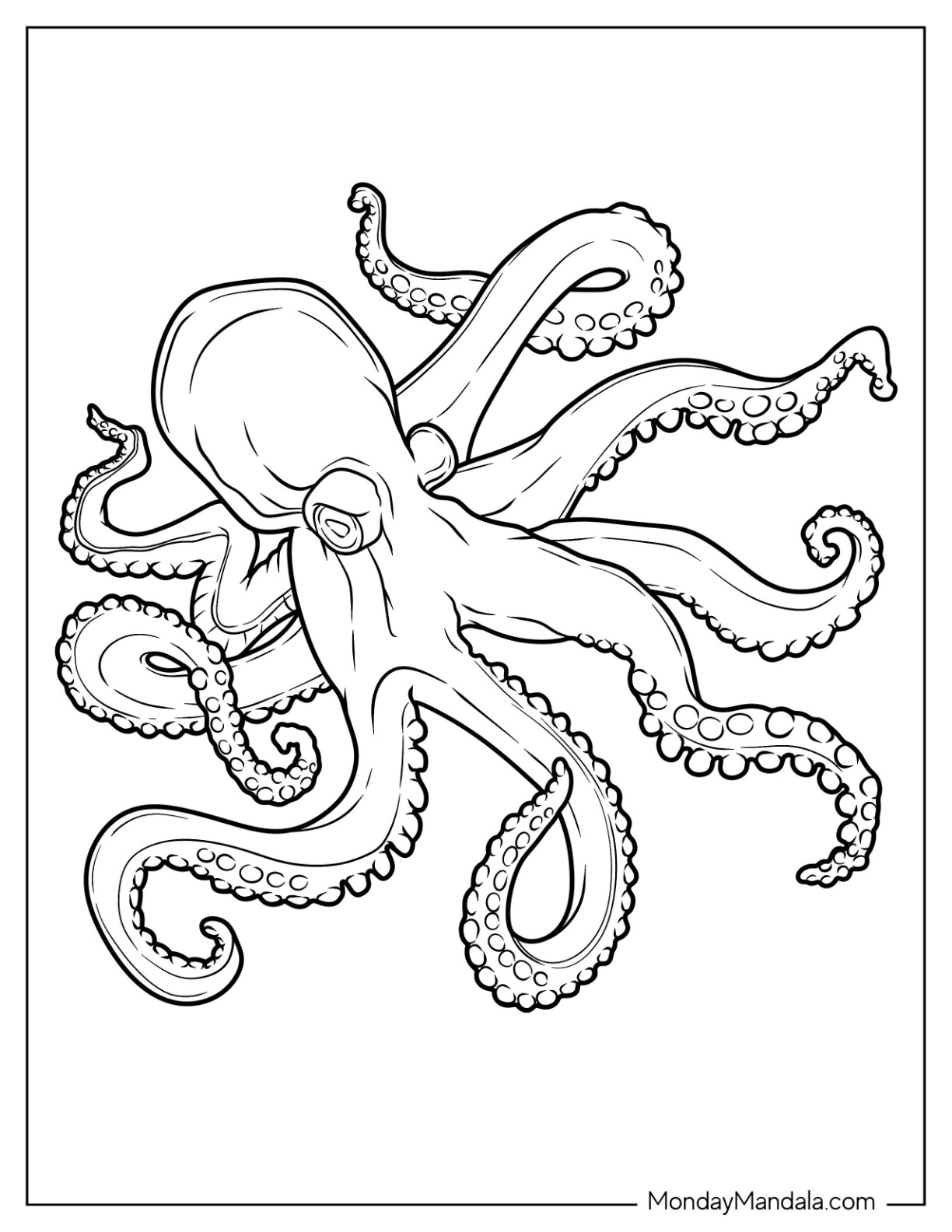 Octopus coloring pages free pdf printables