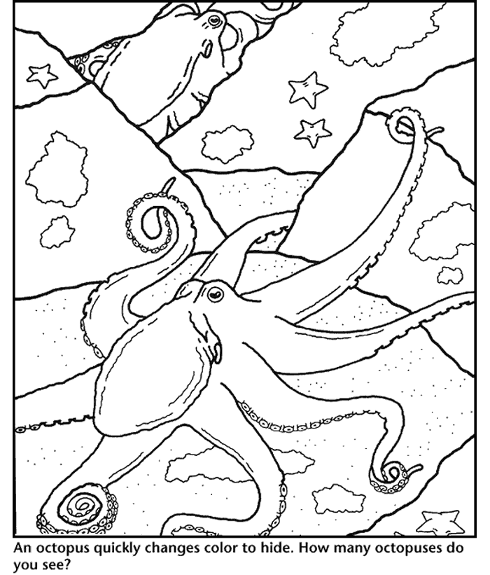 Octopus coloring pages printable for free download