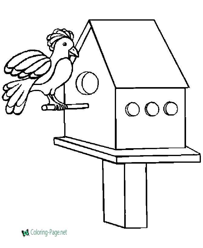 Bird coloring pages